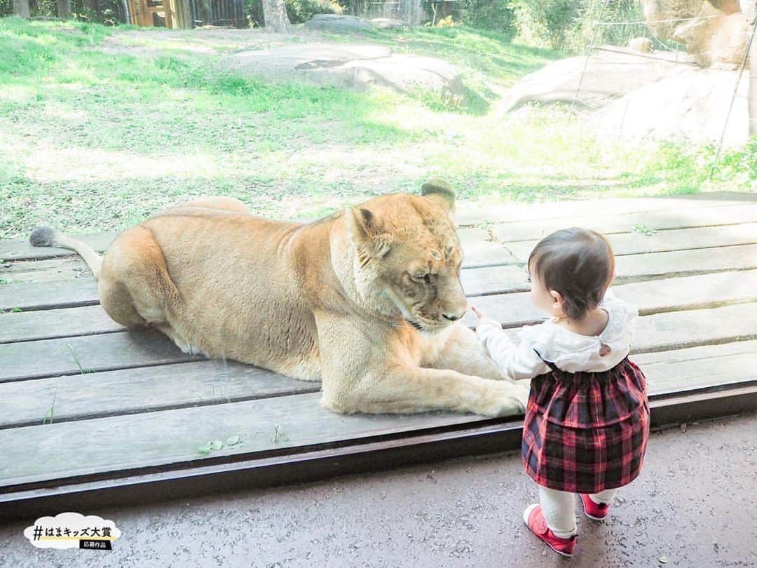 コドモノ！写真部のインスタグラム