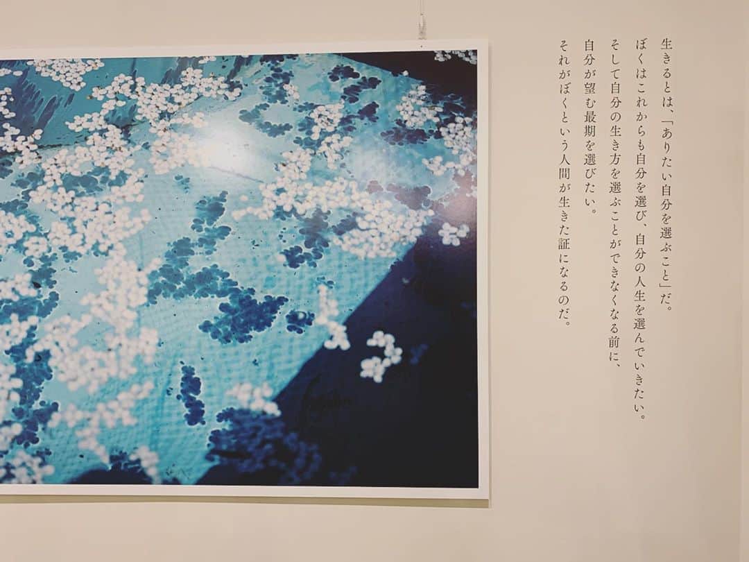 のインスタグラム：「. . たまたまミナペルホネン⑅寄ったら、 滑り込めた　#幡野広志のことばと写真展 いろんな偶然かさなるかさなる。 読ませてらった文章（ことば）と写真、 触れられて良かったなぁ🐧🐾浸透率。 店内入れ替えで時間制限もあり、 も少し長居できればよかったなぁと振り返りながら また、ぁ。👋 . #minaperhonen  #tobichi #kyoto  #幡野広志 #写真展　 #photograph #photographer  #book #本 #京都 #ミナペルホネン #architecture」
