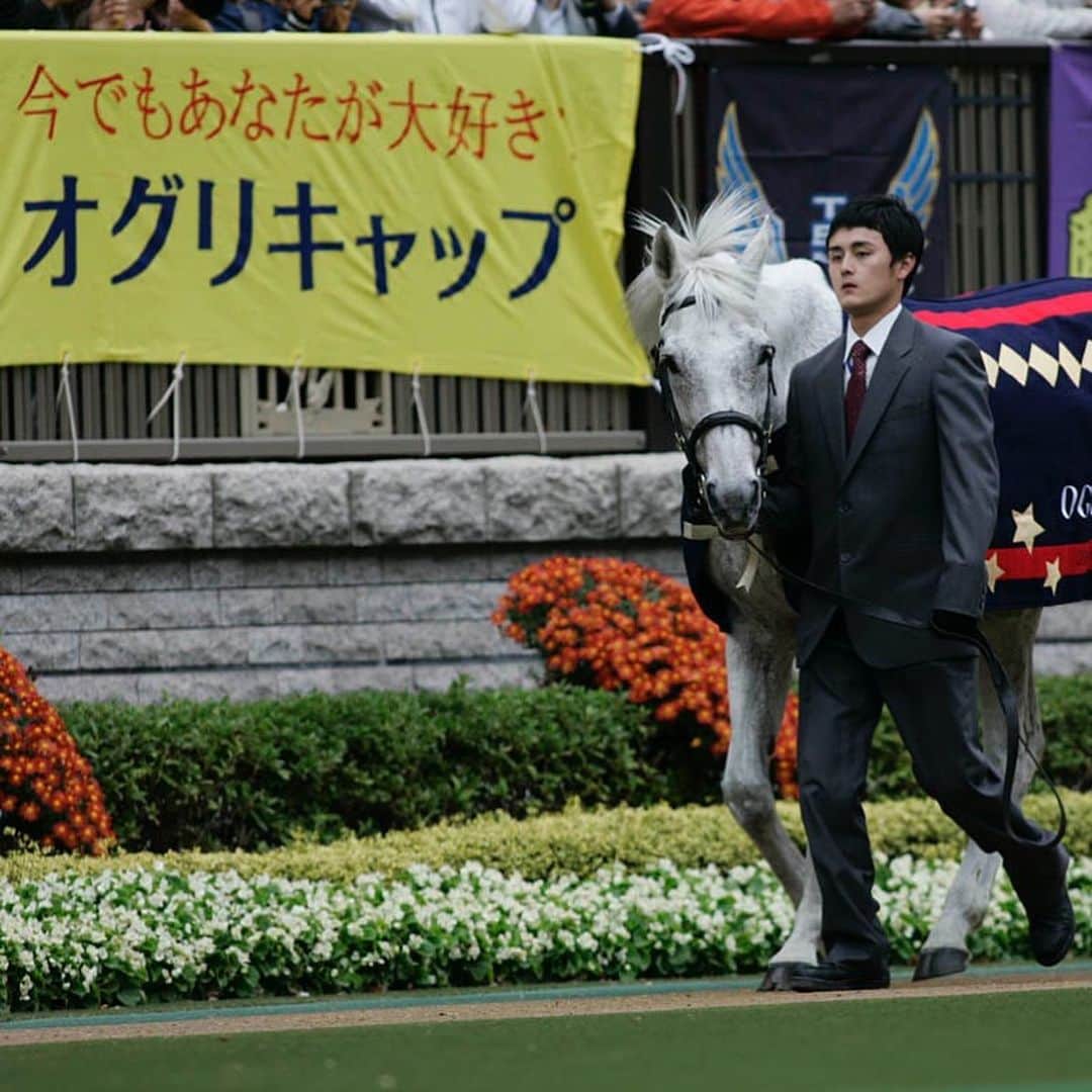 netkeibaさんのインスタグラム写真 - (netkeibaInstagram)「ㅤㅤㅤㅤㅤㅤㅤㅤㅤㅤㅤㅤㅤ ㅤㅤㅤㅤㅤㅤㅤㅤㅤㅤㅤㅤㅤㅤ netkeiba 夏の芦毛祭 🍧 ㅤㅤㅤㅤㅤㅤㅤㅤㅤㅤㅤㅤㅤ 本日はオグリキャップさんです🤍 「芦毛の怪物」として誰もが知っているスターホース！ 2008年の東京競馬場でのお披露目の時のお写真です。 ㅤㅤㅤㅤㅤㅤㅤㅤㅤㅤㅤㅤㅤ ～重賞勝ち鞍(中央)～ 1988年：有馬記念(GI)、NZT4歳S(GII)、高松宮杯(GII)、毎日王冠(GII)、ペガサスS(GIII)、毎日杯(GIII)、京都4歳特別(GIII) 1989年：マイルCS(GI)、毎日王冠(GII)、オールカマー(GIII) 1990年：安田記念(GI)、有馬記念(GI) ㅤㅤㅤㅤㅤㅤㅤㅤㅤㅤㅤㅤㅤ #オグリキャップ #oguricap ㅤㅤㅤㅤㅤㅤㅤㅤㅤㅤㅤㅤㅤ #instahorse #horsetagram #thoroughbred #芦毛 #馬 ㅤㅤㅤㅤㅤㅤㅤㅤㅤㅤㅤㅤㅤ (撮影：下野雄規)」8月26日 17時55分 - netkeiba