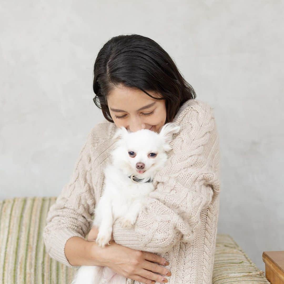 森泉さんのインスタグラム写真 - (森泉Instagram)「#furbo present to those that adopt a dog through #omusubi_pet  Let’s #save101dogs ❤️ @omusubi_pet から保護犬を迎えると @furbo_japan をプレゼント🐾 保護犬を迎えるという選択が少しでも広まりますように✨ 101匹の保護犬に家族を🙏」8月26日 17時56分 - izumi.mori