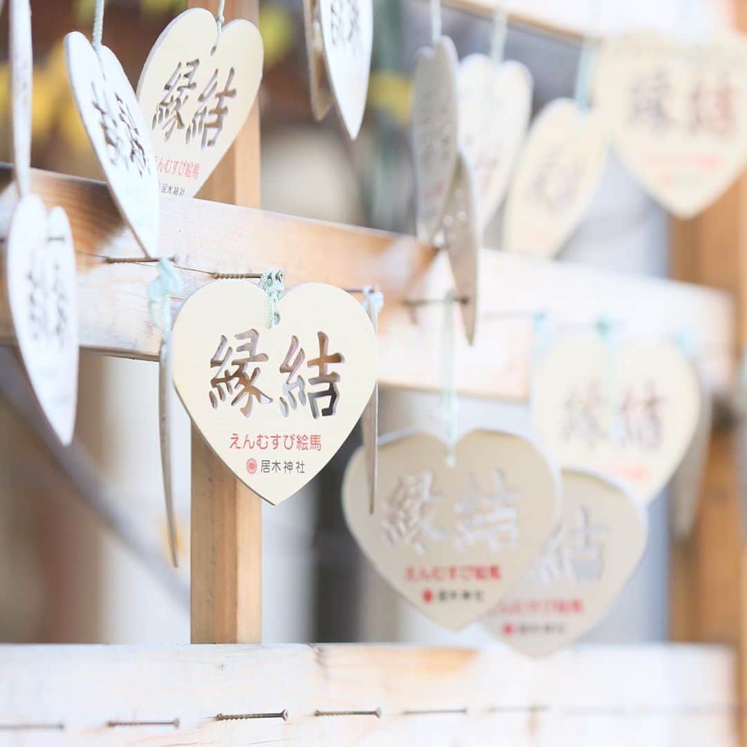 家族挙式さんのインスタグラム写真 - (家族挙式Instagram)「.﻿ 縁結びが有名な神社で和婚♪ ﻿ 日本ならではのお式スタイル﻿ 挙式は和装で 会食パーティはお色直しをして﻿ ドレスも◎﻿ 特別な日は衣装にもこだわりたいですね♥﻿ ﻿ -------------------﻿ ﻿ 【2020年8月末まで！】﻿ ﻿ \年内実施の会食•披露宴プランお申し込みで/﻿ ✳︎挙式スナップ写真 60カットプレゼント✳︎﻿ ﻿ ▽詳しくはTOPのリンクから❁﻿ >>> @kazoku_wedding﻿ ﻿ -------------------﻿ .﻿ ❁テレビCM放映中 ▹▸ ”家族挙式ベスト”なら﻿ 【挙式・衣裳・美容・写真】が含まれたプランが99,000円〜叶います＊﻿ ▽予約はTOPのリンクから❁﻿ >>> @kazoku_wedding﻿ -------------------﻿ #家族挙式 #ベストアニバーサリー﻿ #家族 #Family #家族婚﻿ #bestanniversary #少人数婚﻿ #ウェディング #結婚式準備﻿ #結婚式 #フォトウェディング﻿ #プレ花嫁 #卒花﻿ #日本中のプレ花嫁さんと繋がりたい﻿ #花嫁 #卒花嫁 #国内挙式﻿ #weddingdress #ウェディングドレス﻿ #プラコレ #Dressy花嫁﻿ #2020秋婚 #2021春婚﻿ #2021夏婚 #2020冬婚﻿ #ウェディングフォト﻿ #神社婚﻿ #和婚﻿ #縁結び」8月26日 18時59分 - kazoku_wedding