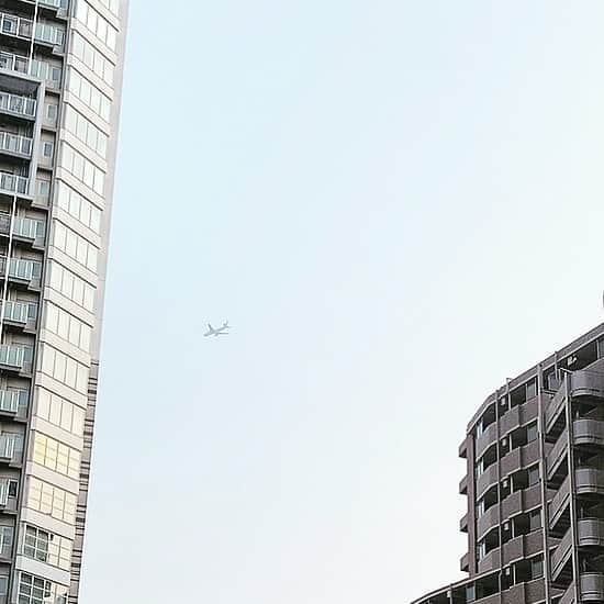 組橋星奈さんのインスタグラム写真 - (組橋星奈Instagram)「いつかの飛行機✈️ ・ ・ どんな人達乗ってたんだろーとか考えちゃう🙄笑 ・  #組橋星奈  #空  #飛行機」8月26日 19時04分 - sena_kumihashi0716