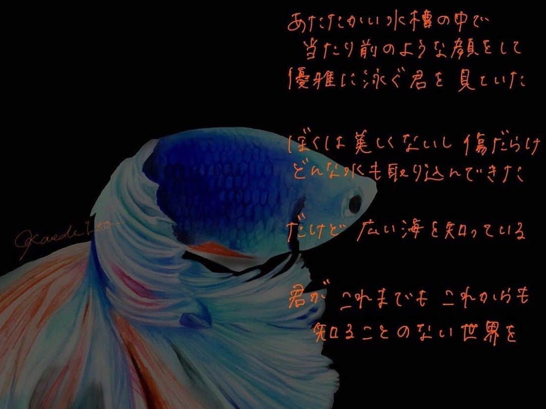 伊東楓のインスタグラム