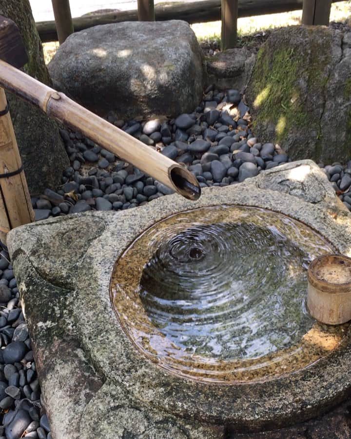 白鳥羽純のインスタグラム：「💧 雫の音きこえたかな？？  水があるだけで ほら〜こんなにも涼しげ〜  水面に映る空と緑を知る人よ〜☀️  #浮見堂 #奈良公園 #竹と水 #空と緑 #Ukimido #Narajapan #Narapark」