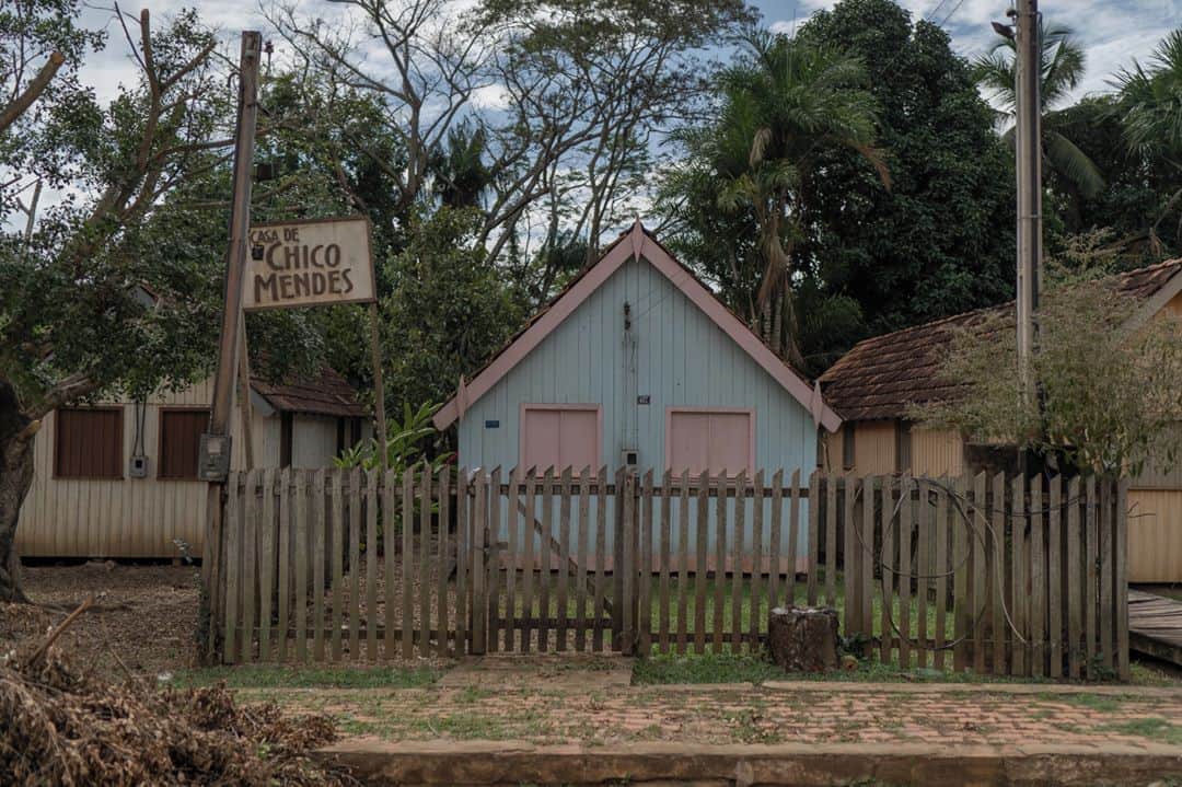 ルモンドさんのインスタグラム写真 - (ルモンドInstagram)「Chico Mendes n’est pas une réserve comme les autres : fondée en 1990, c’est une réserve extractiviste, une « resex », comme on dit au Brésil, pionnière et première en son genre. Les hommes peuvent habiter et exploiter la forêt, à condition de le faire de manière respectueuse de l’environnement, sans déforester, à l’image des « saigneurs » d’hévéas.⁣ Vaste de près de 1 million d’hectares de forêts denses et primaires, la réserve était, il y a quelques années encore, l’une des mieux préservées d’Amazonie, dans cet extrême Ouest brésilien à la frontière avec le Pérou et la Bolivie, défendue bec et ongles par des générations de seringueiros endurcis.⁣ Mais ça, c’était dans le monde d’avant. Dans le Brésil de Jair Bolsonaro, Chico Mendes est désormais considérée par les défenseurs de l’environnement comme l’une des aires protégées les plus saccagées d’Amazonie. Incendies, déforestation, vol de bois, mises en pâture frénétiques… 7 500 hectares y ont été rasés pour la seule année 2019, soit une hausse de 203 % par rapport à l’année précédente.⁣ -⁣ 1 : Arleudo Morais Farias, l’un des derniers seringueiros d’Amazonie, travaille dans la réserve Chico Mendes, au Brésil, le 28 juillet. Il recolte le latex, cette sève grasse et blanche qu’on appelle ici « lait », qui s’écoule goutte à goutte dans de petits gobelets.⁣ 2 : La maison de Chico Mendes, meneur mythique des seringueiros d’Amazonie, plus grand militant écologiste de l’histoire du Brésil.⁣ 3 : Dans la réserve Chico Mendes, au Brésil, le 29 juillet.⁣ 4 : A l’usine de préservatifs Natex, à Xapuri (Etat d’Acre), au Brésil, le 29 juillet.⁣ 5 : « Delmar » Ferreira da Silva, ancien saigneur d’hévéa devenu éleveur, à Xapuri, au Brésil, le 30 juillet.⁣ -⁣ Photos : Avener Prado (@avenerprado) #PourLeMonde⁣ -⁣ #Amazonie #Bresil #ChicoMendes #Environnement」8月27日 1時26分 - lemondefr