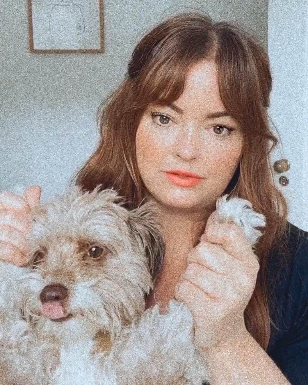Kristin Essのインスタグラム：「It’s Dog Day!!! 🐶🎉🐾 Truly the best holiday of the year, IMO. 🤷‍♀️ Dogs are actual magic ✨ and I’m SO lucky to have these 4 lunatics by my side every day, even when George is screaming at everyone, Olive is hunting everything, Charlie is barking at the Fedex truck and Karen is complaining to the manager. 😬 Wouldn’t have it any other way. I’ll be celebrating today by donating to a handful of my favorite dog rescues and encourage you guys to donate anything you can because it all helps save lives! 🤍 I’ve tagged some favorites in the photo, so please follow them, donate, volunteer, foster and most importantly 👉🏼 #adoptdontshop」