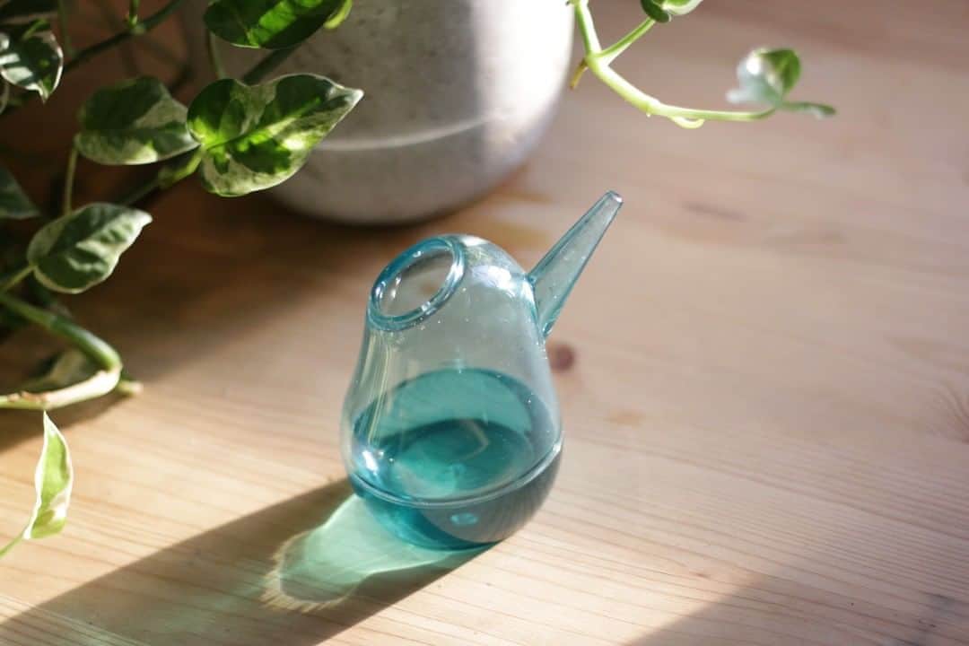LOVEGREEN -植物と暮らしを豊かに。さんのインスタグラム写真 - (LOVEGREEN -植物と暮らしを豊かに。Instagram)「［小鳥の水差し］ . 透明感溢れるクリアカラーの「小鳥の水差し」がLOVEGREEN STOREに新登場 ♪ みなさん「小鳥の水差し」をご存じですか？☺️ . \\\\\\\\\\\\\\\\\\\\\\\\\\\\\\\\\\\\\\\\\\\\\\\\\\\ 編集部にもファン多し！小鳥の水差し /////////////////////////////////////////////////// . ■なめらかで優しい水が出る 注ぎ口の太さと角度によって、やわらかい水が出ます。 水の勢い余って土がえぐれた…ということも起こりません！！植物に優しい水差しです🌱 . ■魅力たっぷりなフォルム 愛らしいフォルムはまさに小鳥🐥 見た目の可愛さだけでなく、曲線を描いたようにくびれた部分が手にフィットし、持ちやすくなっているんです。 . 程よいサイズ感と可愛いフォルムの水差しなら、収納せずとも植物の近くに置いておいても◎ 詳しくは @lovegreen_official のURLからチェック！ . . #水差し #ジョーロ #小鳥 #鳥モチーフ #bird #水やり #観葉植物 #観葉植物 #観葉植物のある暮らし #グリーンのある暮らし #インドアグリーン #緑のある生活 #観葉植物初心者 #植物 #植物のある暮らし #植物のある生活 #植物と暮らす #植物が好き #シンプルな暮らし #シンプルライフ #暮らしを楽しむ #日々の暮らし #インテリア植物 #インテリアグリーン #北欧インテリア #ナチュラルインテリア #賃貸インテリア #観葉植物インテリア」8月26日 21時00分 - lovegreen_official