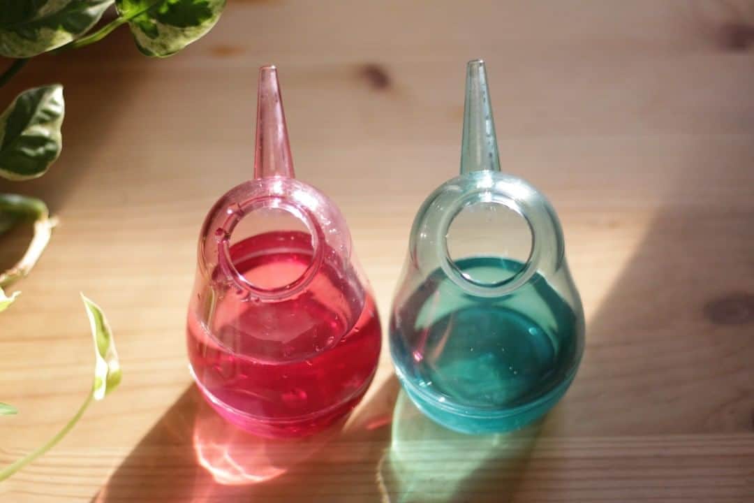 LOVEGREEN -植物と暮らしを豊かに。さんのインスタグラム写真 - (LOVEGREEN -植物と暮らしを豊かに。Instagram)「［小鳥の水差し］ . 透明感溢れるクリアカラーの「小鳥の水差し」がLOVEGREEN STOREに新登場 ♪ みなさん「小鳥の水差し」をご存じですか？☺️ . \\\\\\\\\\\\\\\\\\\\\\\\\\\\\\\\\\\\\\\\\\\\\\\\\\\ 編集部にもファン多し！小鳥の水差し /////////////////////////////////////////////////// . ■なめらかで優しい水が出る 注ぎ口の太さと角度によって、やわらかい水が出ます。 水の勢い余って土がえぐれた…ということも起こりません！！植物に優しい水差しです🌱 . ■魅力たっぷりなフォルム 愛らしいフォルムはまさに小鳥🐥 見た目の可愛さだけでなく、曲線を描いたようにくびれた部分が手にフィットし、持ちやすくなっているんです。 . 程よいサイズ感と可愛いフォルムの水差しなら、収納せずとも植物の近くに置いておいても◎ 詳しくは @lovegreen_official のURLからチェック！ . . #水差し #ジョーロ #小鳥 #鳥モチーフ #bird #水やり #観葉植物 #観葉植物 #観葉植物のある暮らし #グリーンのある暮らし #インドアグリーン #緑のある生活 #観葉植物初心者 #植物 #植物のある暮らし #植物のある生活 #植物と暮らす #植物が好き #シンプルな暮らし #シンプルライフ #暮らしを楽しむ #日々の暮らし #インテリア植物 #インテリアグリーン #北欧インテリア #ナチュラルインテリア #賃貸インテリア #観葉植物インテリア」8月26日 21時00分 - lovegreen_official