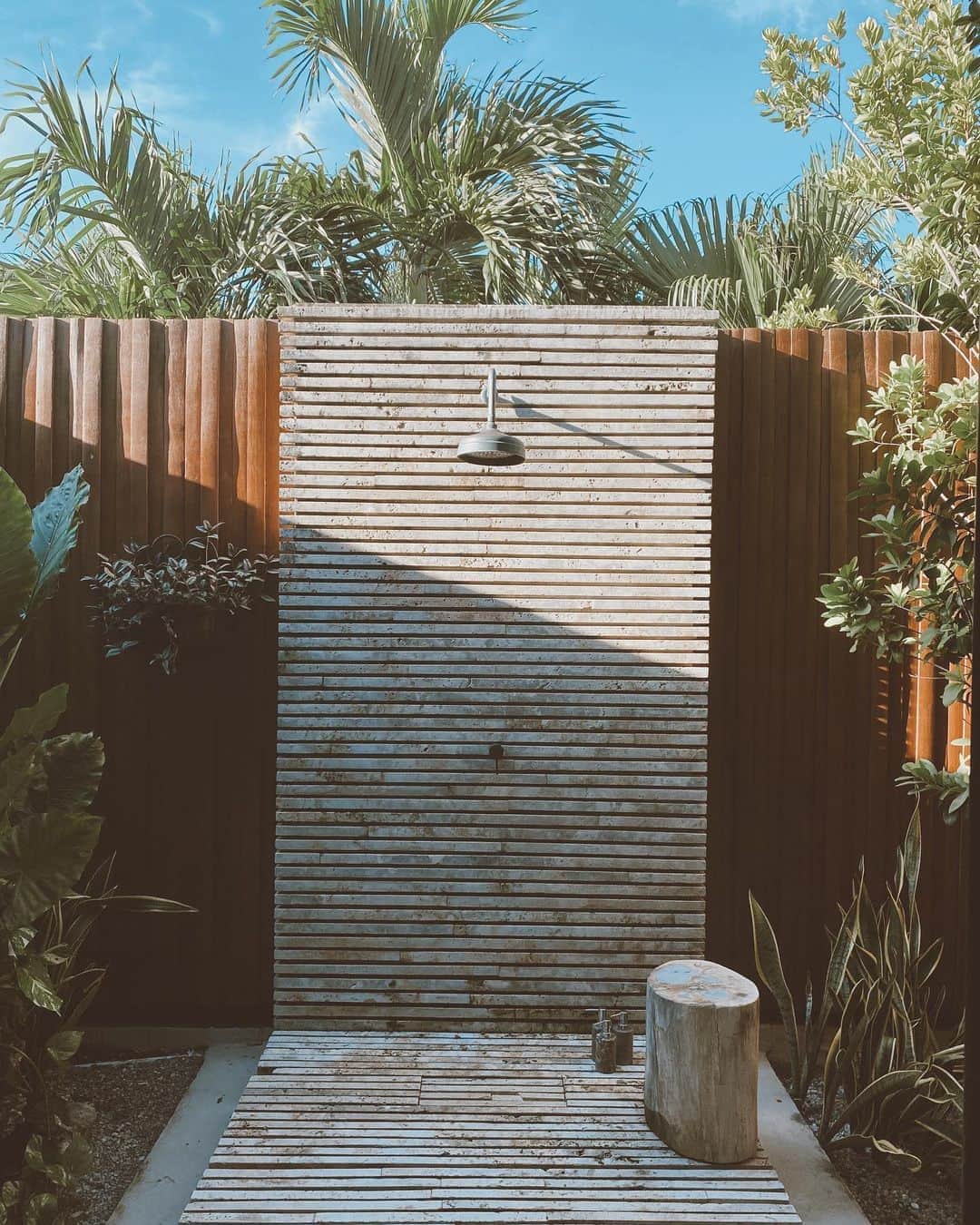 のインスタグラム：「Just wanna have some sun....」