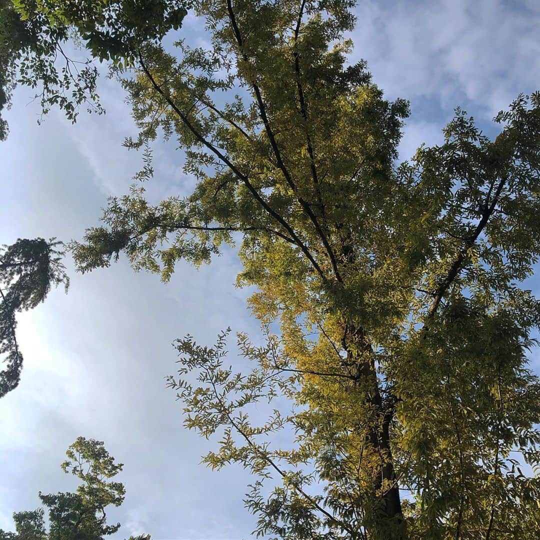 のインスタグラム：「🌞💦」