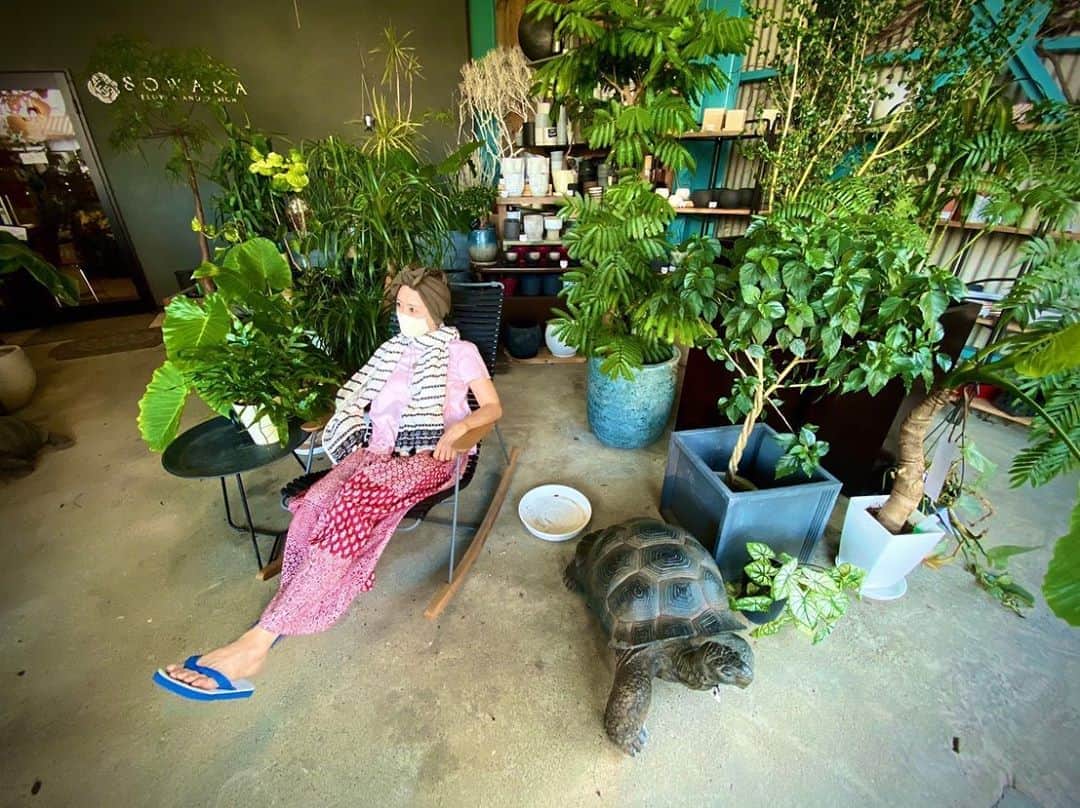 熊谷真実さんのインスタグラム写真 - (熊谷真実Instagram)「お花屋さんのSOWAKA  ひんやりとした空間にお花がいっぱい。 ずーっとここにいたい。 外は観葉植物でいっぱい。 ずーっとここにいたい #熊谷真実#大好きな場所#ずーっといたい場所  @flowerandesignsowaka  @mami_kumagai310」8月26日 21時45分 - mami_kumagai310
