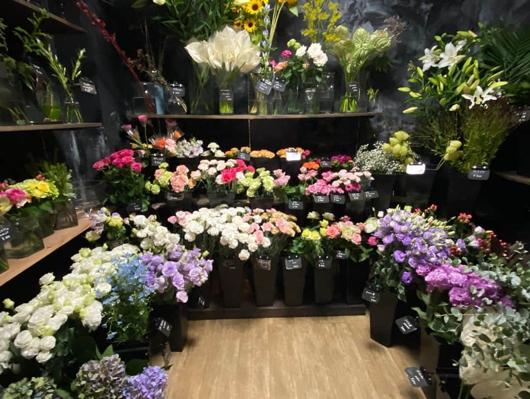 熊谷真実さんのインスタグラム写真 - (熊谷真実Instagram)「お花屋さんのSOWAKA  ひんやりとした空間にお花がいっぱい。 ずーっとここにいたい。 外は観葉植物でいっぱい。 ずーっとここにいたい #熊谷真実#大好きな場所#ずーっといたい場所  @flowerandesignsowaka  @mami_kumagai310」8月26日 21時45分 - mami_kumagai310