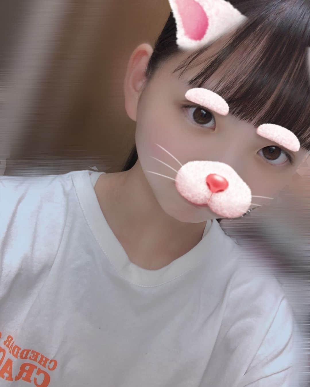 jc自撮り snow はるちゃん 中野みやびさんのインスタグラム写真 - (中野みやびInstagram)「ねこ #snow #ねこ #加工 #cat #猫 #アプリ #自撮り #中学生  #jc #girl #女子 #pink #にゃんすたぐらむ #にゃんこ #にゃん #followｍe #wawawa #みやび」8月26日  21時39分 - n_miyabi0123