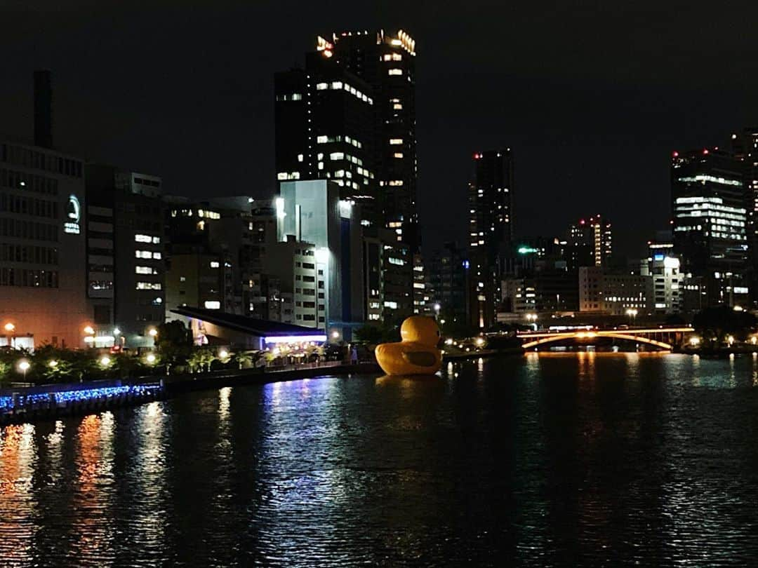 桂春雨さんのインスタグラム写真 - (桂春雨Instagram)「今日の1枚。八軒屋浜に怪しく浮かぶラバーダック。21時30分。 #大川 #八軒屋浜 #天満 #ラバーダック #世界を旅する #黄色い #アヒル #lubber #duck #lubberduck #river #nightphotography」8月26日 21時40分 - harusamek