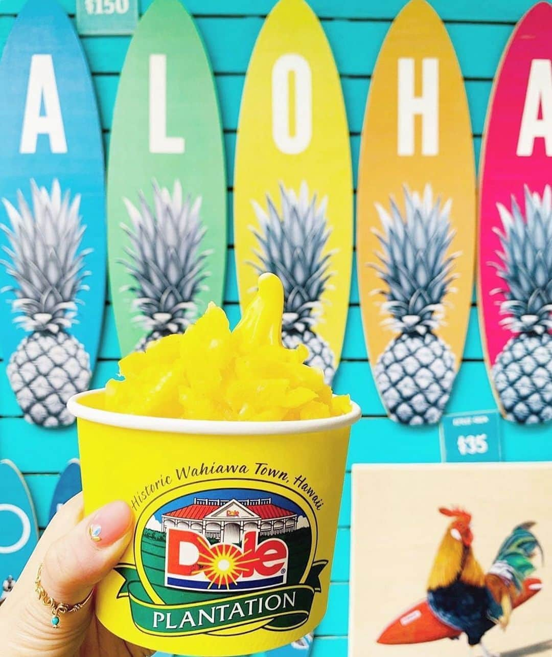 ALOHA☆GIRL 【アロハガール】のインスタグラム：「タグ付けありがとうございます💛  Posted @withregram • @808.kai_rainbow 🍍🏄🍨🍦 📍Dole Plantation ･ 𓆉𓇼🄰🄻🄾🄷🄰𓆉𓇼 今日はパイナポー🍍の日 #817 ということで🧡💛 皆さんに便乗で失礼します🙏🏻 ･ わたし Doleのパイナップルソフトが大好きで😻 恐らく毎回訪れています🍍💛 ･ 本当はね…以前のアイスの日に このpicを載せるつもりが😅 タイミングを逃したので… 今日はハワイ時間でギリ👌🏻ということで😂🤣🍍🍍一挙出し～🍍🍍 ･ ･ 以前 DoleにこんなオサレSpotがあることを フォロワーさんのpostから知って🏄🤩✨ いつもはツアー参加が多いから🔰🚎 集合時間までに食べ終わることに必死で…笑 ･ この日はドール内を探索🚶‍♀️👣できたので ちょっと インスタ映え？っぽく写してみましたが…😂どうでしょう？🤣笑 ･ しかし📸の場所を探し過ぎて… 🍦が溶け始める💦アイスpicあるある🤣 ･ ･ 最近はしろくま🤍🍧にハマってます🎶 でもわたしは･･･本当は 赤くまｸﾝ🧸♥️が恋しいぞぉ～🥺😅😂🤣💓 ･ なんだか変なキャプ…😂🙏🏻 暑さのせい？ってことで許してね🥴😜✨笑 ･ 今日も見てくれてありがとうございます🌈♡ ストーリーも😊🙏🏻✨ ･ ✰︎Stay Safe✰︎Stay Healthy✰︎医療従事者に感謝✰︎ ･ ･ #hawaii #ハワイ#oafu #honolulu #ホノルル #waikiki  #ドールプランテーション #dole #パイナップル #🍍 #pineapple #ハワイ旅行 #ソフトクリーム #アイス #instafood #hawaiistagram #lovehawaii #instahawaii  #genic_sweets #genic_food #tabijyo #タビジョ#lealeahawaii #tabijyomap_hawaii  #aloha #アロハ #surfing #art  #ハワイ好きな人と繋がりたい ･ ･ あ～😆ようやくリベンジ出来たよん🍍💛 自己満😅🙏🏻」