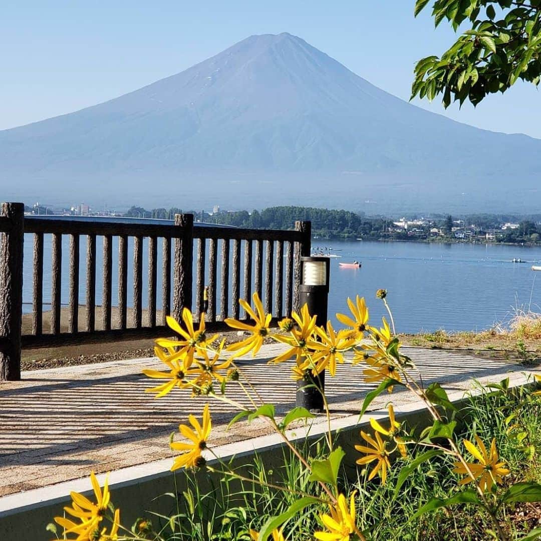 綾小路きみまろさんのインスタグラム写真 - (綾小路きみまろInstagram)「こんばんは。 綾小路きみまろです。  今年の夏は特別な夏でしたね。。  河口湖もだいぶ 秋めいてきました🍁🎑 紅葉が楽しみです。  #綾小路きみまろ #きみまろ散歩  #河口湖 #富士山 #咲那橋」8月26日 22時19分 - ayanokojikimimaro_official
