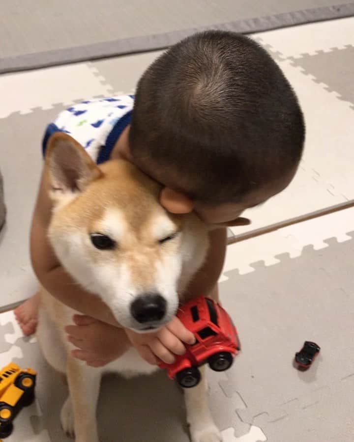 高橋みゆきのインスタグラム：「なんだよこれ〜😍😍😍💕💕💕💕💕💕💕💕 #クラ吉&心坊　#クラ吉好き」