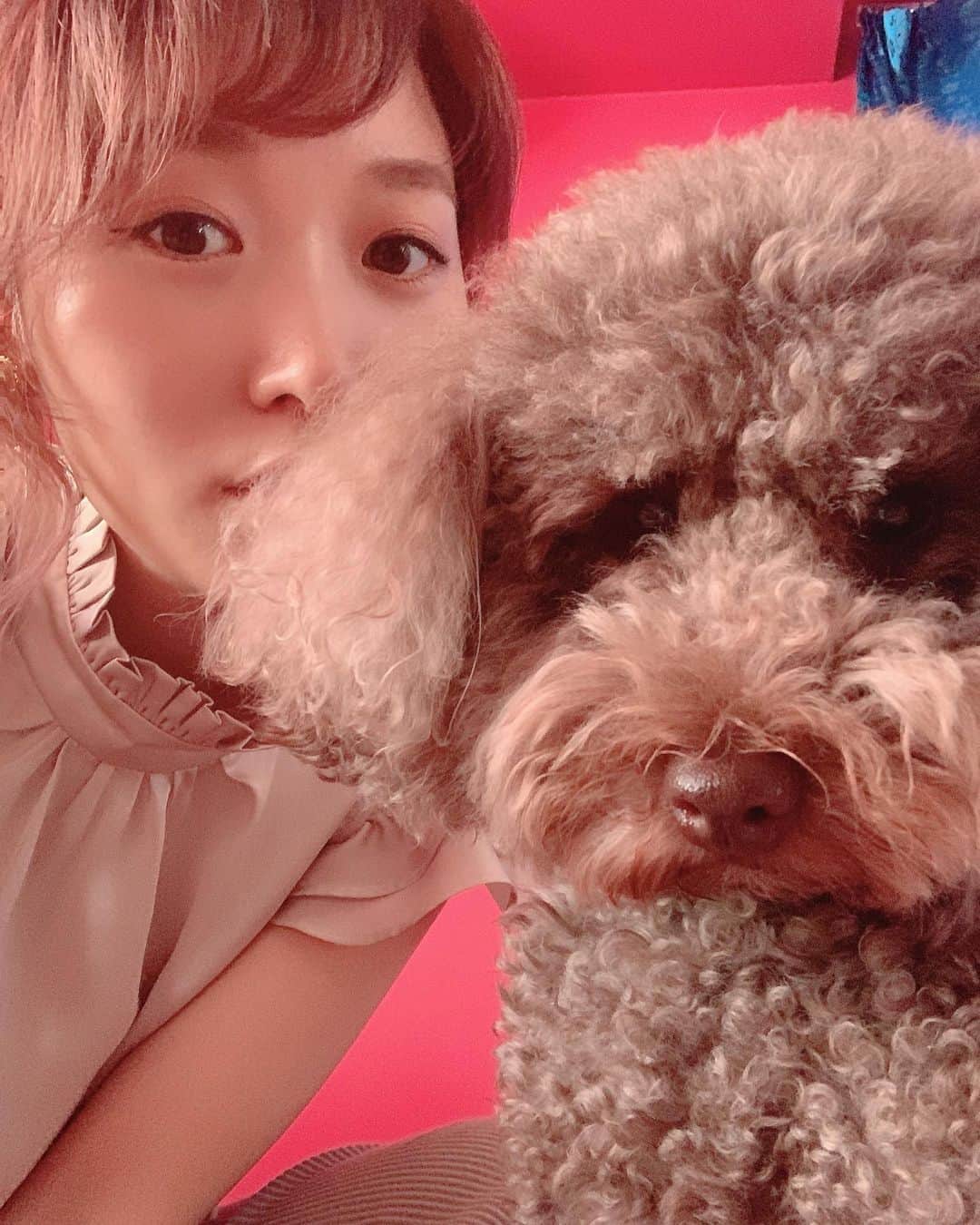くまみきのインスタグラム：「最近の我々🐶💗  #もふもふ #もふいぬ #犬のいる暮らし #犬のいる生活  犬系のタグっていっぱいあるんだね、みるの楽しい。笑」