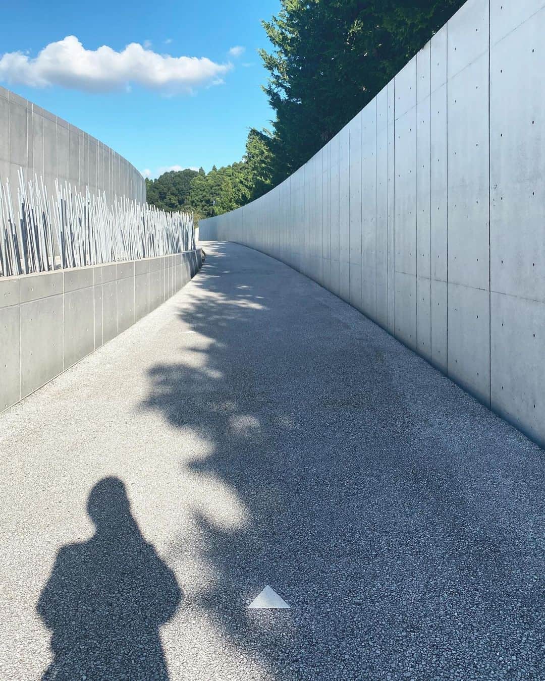 鈴木淳子のグルメインスタ