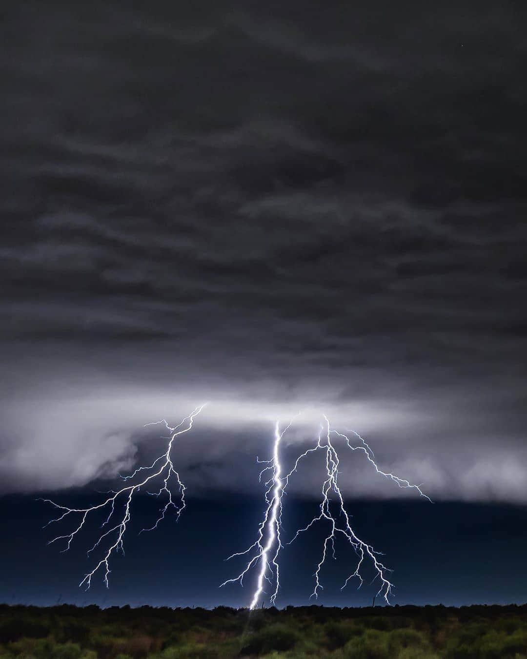 Padgramさんのインスタグラム写真 - (PadgramInstagram)「Photo by @adamkylejackson  #pgdaily #pgstar #planetgo #planetearth #storm #lightning #lightningstrike」8月26日 23時42分 - planet.go
