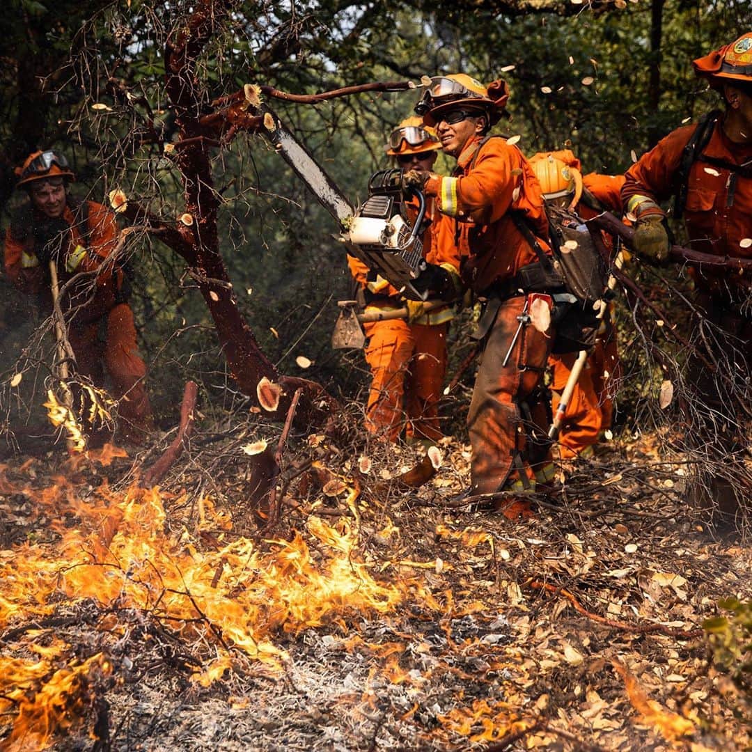 ニューヨーク・タイムズさんのインスタグラム写真 - (ニューヨーク・タイムズInstagram)「Prisoners have helped California fight fires for decades, playing a crucial role in containing the blazes striking the state with more frequency and ferocity in recent years. ⁣ ⁣ This past week, though, hundreds of inmate firefighters were absent from the fire lines. They had already gone home, part of an early release program initiated by Gov. Gavin Newsom to protect them from the coronavirus. The absence has highlighted the state’s dependence on prisoners in its firefighting force and complicated its battle against almost 600 fires, many of which continue to burn across Northern California.⁣ ⁣ To critics, the prison program is a cheap and exploitative salve, one that should be replaced with proper public investment in firefighting. To others, it is an essential part of the state’s response to what has become an annual wildfire crisis. Some critics have complained that participants were released just when the state needed them most.⁣ ⁣ “The inmates should have been put on the fire lines, fighting fires,” said Mike Hampton, a former corrections officer who worked for decades at an inmate fire camp. “How do you justify releasing all these inmates in prime fire season with all these fires going on?”⁣ ⁣ @cagovernor’s answer is that prisoners faced a threat from Covid-19. Across the U.S. 112,436 inmates and correctional officers have been infected and 825 have been killed by the virus, according to a New York Times database. And in 4 of the 6 prisons that train incarcerated firefighters, there have been more than 200 infections each among inmates and staff. ⁣ ⁣ Tap the link in our bio to read more about how the coronavirus is limiting California’s efforts to fight fires with prison labor. Photos by @maxwhittaker of the Delta Conservation Crew in Healdsburg, California, in mid-August.」8月27日 10時43分 - nytimes
