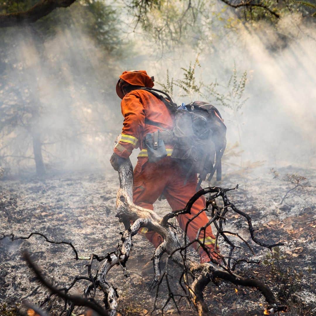ニューヨーク・タイムズさんのインスタグラム写真 - (ニューヨーク・タイムズInstagram)「Prisoners have helped California fight fires for decades, playing a crucial role in containing the blazes striking the state with more frequency and ferocity in recent years. ⁣ ⁣ This past week, though, hundreds of inmate firefighters were absent from the fire lines. They had already gone home, part of an early release program initiated by Gov. Gavin Newsom to protect them from the coronavirus. The absence has highlighted the state’s dependence on prisoners in its firefighting force and complicated its battle against almost 600 fires, many of which continue to burn across Northern California.⁣ ⁣ To critics, the prison program is a cheap and exploitative salve, one that should be replaced with proper public investment in firefighting. To others, it is an essential part of the state’s response to what has become an annual wildfire crisis. Some critics have complained that participants were released just when the state needed them most.⁣ ⁣ “The inmates should have been put on the fire lines, fighting fires,” said Mike Hampton, a former corrections officer who worked for decades at an inmate fire camp. “How do you justify releasing all these inmates in prime fire season with all these fires going on?”⁣ ⁣ @cagovernor’s answer is that prisoners faced a threat from Covid-19. Across the U.S. 112,436 inmates and correctional officers have been infected and 825 have been killed by the virus, according to a New York Times database. And in 4 of the 6 prisons that train incarcerated firefighters, there have been more than 200 infections each among inmates and staff. ⁣ ⁣ Tap the link in our bio to read more about how the coronavirus is limiting California’s efforts to fight fires with prison labor. Photos by @maxwhittaker of the Delta Conservation Crew in Healdsburg, California, in mid-August.」8月27日 10時43分 - nytimes