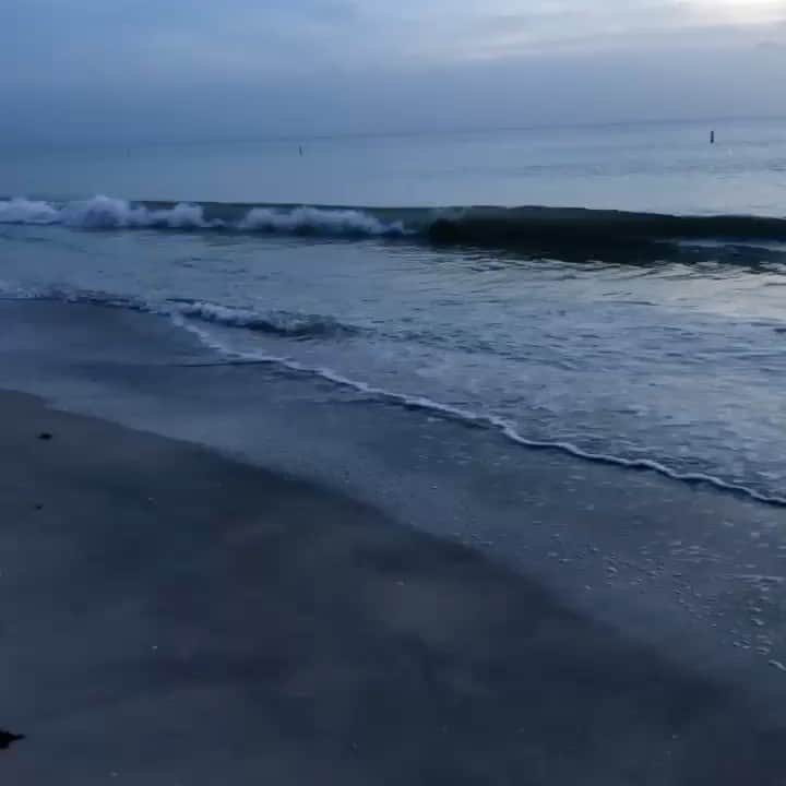 のインスタグラム：「Another day in #paradise #clearwaterbeach #grateful #awareness #hogansbeachshop thank you God!!!!」