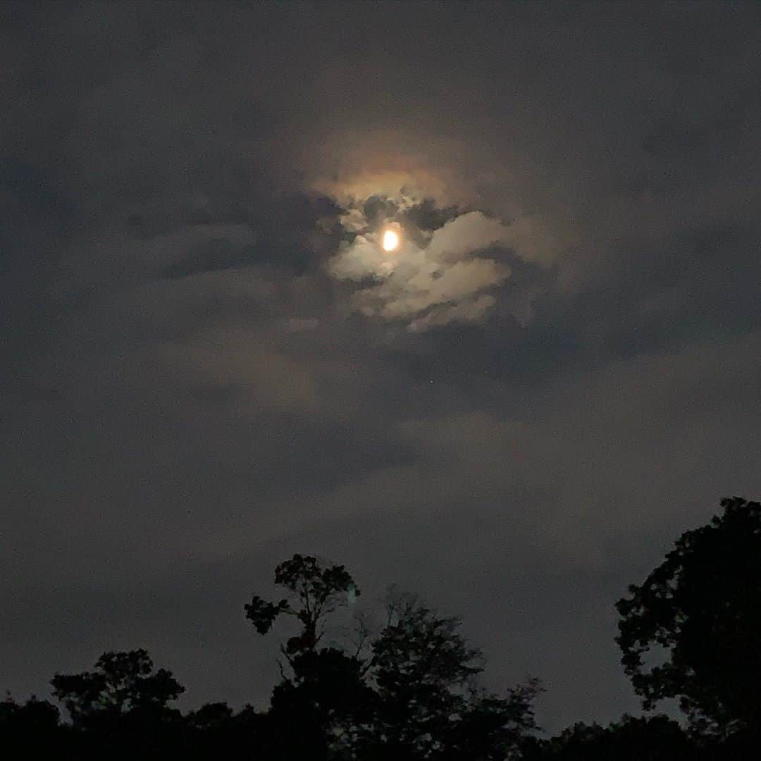 風間ゆみえのインスタグラム：「きのうの夜空 上弦の月  半月は、青いそらに透けるように白く浮かんでいるのを神秘的できれいで眺めていることが多かったな、なんてぼんやり考えていたら、あらためて、そう思うと、私が上弦の月に出会うのはお昼間ばかり、夜空に見るのはなんだか新鮮で、半月って、他にも呼び名があったよね、そんな話をしながら月暦をひらいてみたら、弦月(げんげつ)や弓張月(ゆみはりづき)って言うのね。  8月26日🌓  旧暦/ 文月 7月8日」