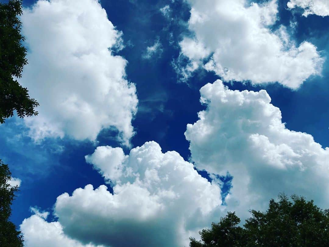 本間大嗣さんのインスタグラム写真 - (本間大嗣Instagram)「夏って感じの雲。 綿菓子みたい😁」8月27日 10時17分 - zephyr1100rs