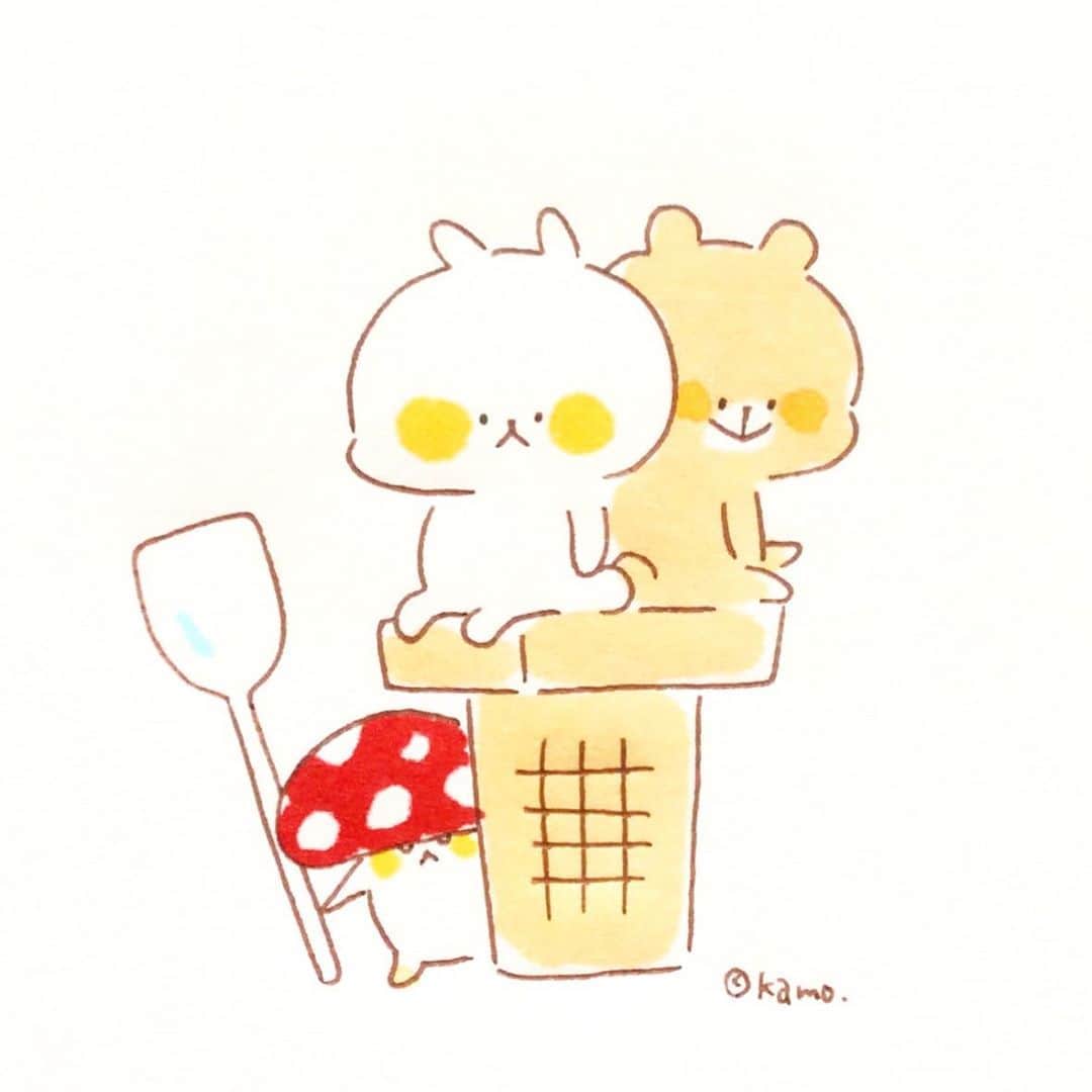 カモのインスタグラム