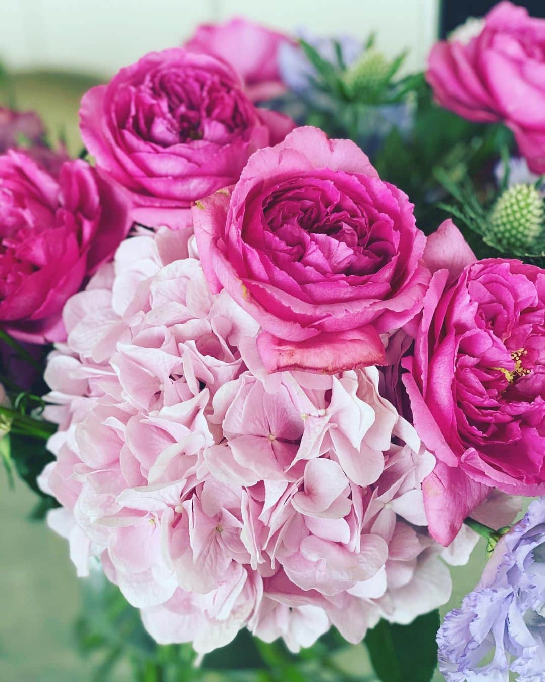 神崎恵さんのインスタグラム写真 - (神崎恵Instagram)「ドラマ出演のお祝いに　@vocemagazine さんからいただいたお花。 綺麗だなぁ。 今日もいい日に。」8月27日 10時25分 - megumi_kanzaki
