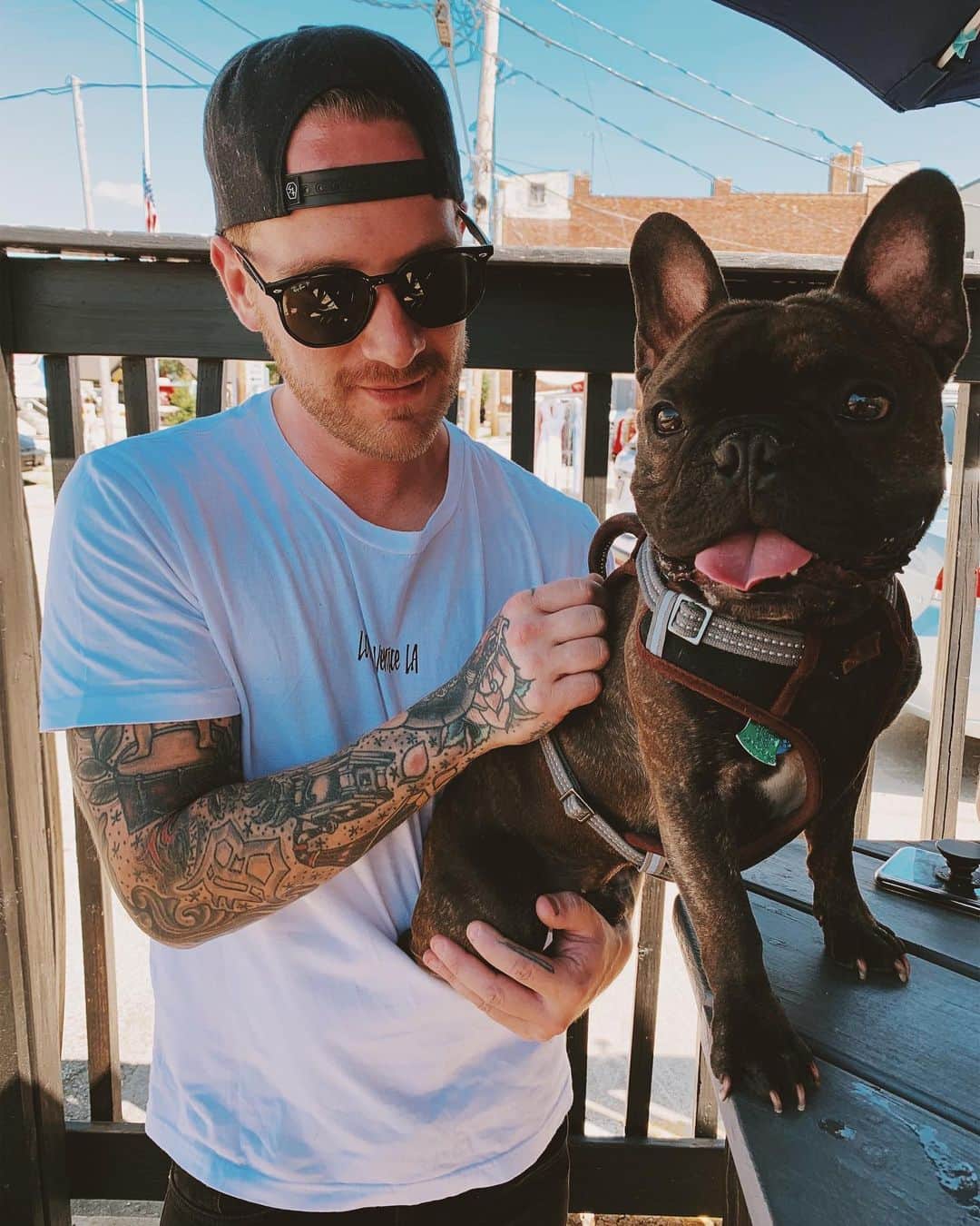 のインスタグラム：「Happy national #goodboyday to Ollie and anyone else out there with another good boy! 🐶」