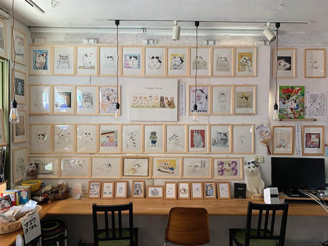 Kachimo Yoshimatsuのグルメインスタ