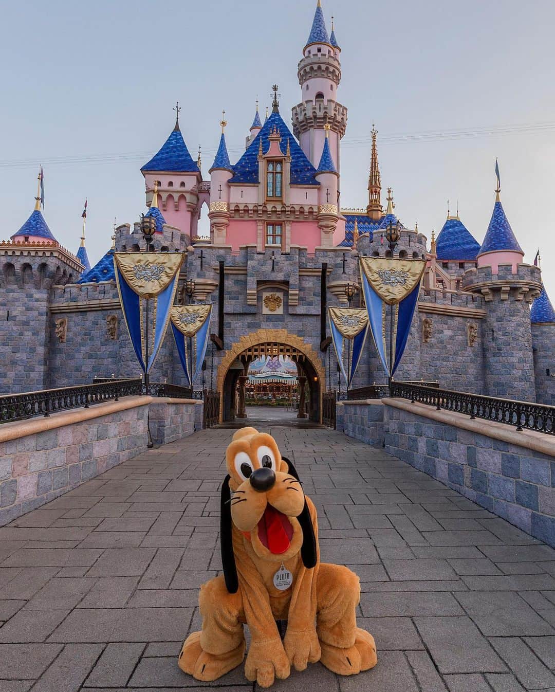 ミッキーマウスさんのインスタグラム写真 - (ミッキーマウスInstagram)「Just a few paw-sitively perfect Pluto moments because it’s #InternationalDogDay! 🐶  Drop a 🦴 in the comments to wish Pluto a Happy #NationalDogDay and join us as we showcase our best Disney four-legged BFFs all day long! {link in bio}」8月27日 1時55分 - mickeymouse