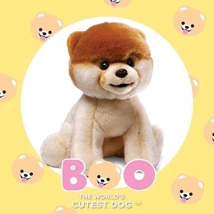 Buddy Boo Blueさんのインスタグラム写真 - (Buddy Boo BlueInstagram)「Happy #internationaldogday! To celebrate, @gottagettagund is giving away one Boo plush to a lucky winner ... it will be the naked version which is everyone’s favorite! See below for their post and instructions to enter:  🦴 BOO Plush GIVEAWAY 🦴  Remembering the World’s Cutest Dog Boo on this very special day #InternationalDogDay ❤️ We’re giving one lucky winner a chance to win this adorable 9” Boo plush! To enter:  1.  Follow @gottagettagund and @buddyboowaggytails  2.  Like their post (note: must like their Boo giveaway post from today on @gottagettagund IG account.)  3.  Tag a friend that also loves Boo  4.  Have your friend follow @gottagettagund and @buddyboowaggytails  NO PURCHASE NECESSARY. The Boo Plush giveaway starts on Wednesday, August 26, 2020 @ 12:00 P.M EST and ends Monday, August 31, 2020 @ 1 P.M EST. One entry per person. To be Eligible: Entrants must enter online by following on Instagram for a chance to win the Boo Plush giveaway. Winner will be chosen at random based on the comments on August 31, 2020. Applicable only to US and Canadian (excluding Quebec) residents above the age of 13. The contest is not endorsed or affiliated with Instagram. Prize will be mailed out the week of August 31, 2020. Winner must answer skill–testing question to claim prize.」8月27日 2時13分 - buddyboowaggytails