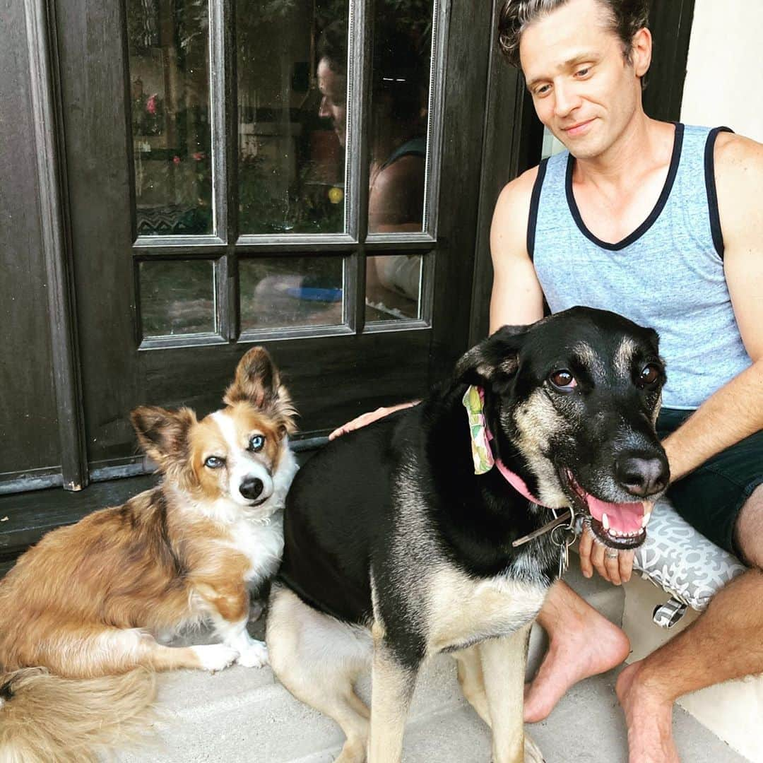 シーマス・デヴァーさんのインスタグラム写真 - (シーマス・デヴァーInstagram)「Oliver discovered some long dormant amorousness when he met Lupe. They are star crossed lovers limited by altitude. #internationaldogday」8月27日 2時28分 - seamuspatrickdever