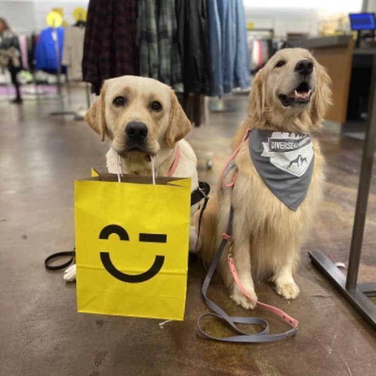 Nordstromさんのインスタグラム写真 - (NordstromInstagram)「Happy #nationaldogday from these furry #nsale shoppers! 🙂🐶 #stayNspired」8月27日 2時42分 - nordstrom