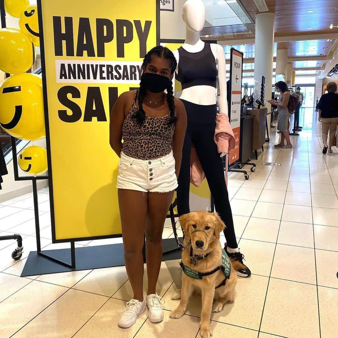 Nordstromさんのインスタグラム写真 - (NordstromInstagram)「Happy #nationaldogday from these furry #nsale shoppers! 🙂🐶 #stayNspired」8月27日 2時42分 - nordstrom