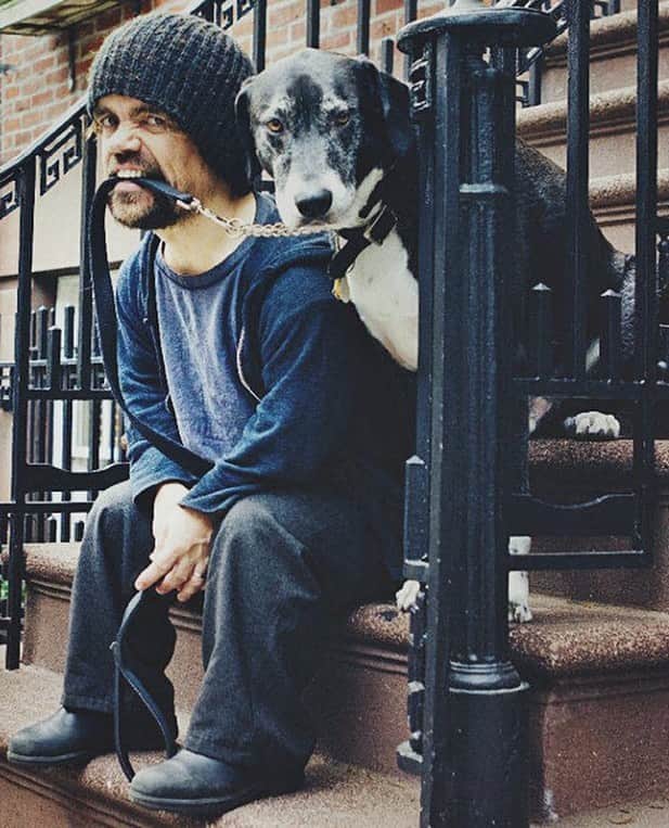 ピーター・ディンクレイジのインスタグラム：「Happy National Dog Day 🐾」