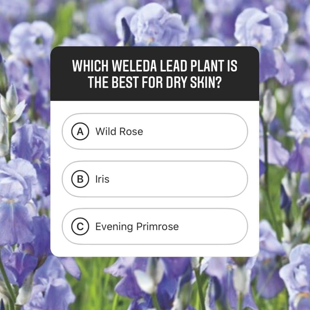 Weledaのインスタグラム：「Pop Quiz! 💜 Which of these Weleda lead plants works best for hydrating dry skin? Leave a comment with your answer! #WeledaSkin」
