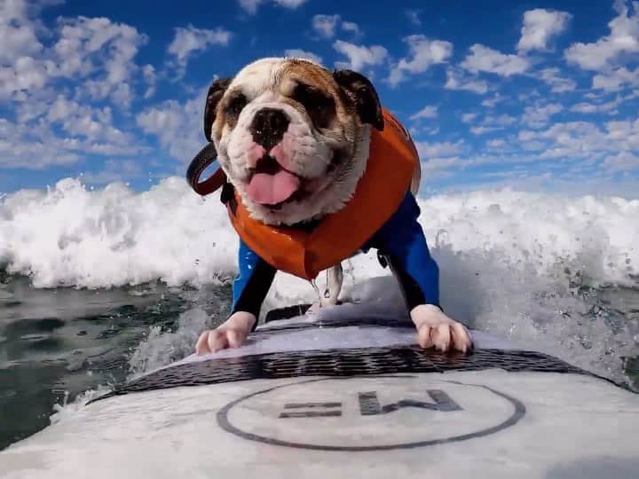 goproのインスタグラム