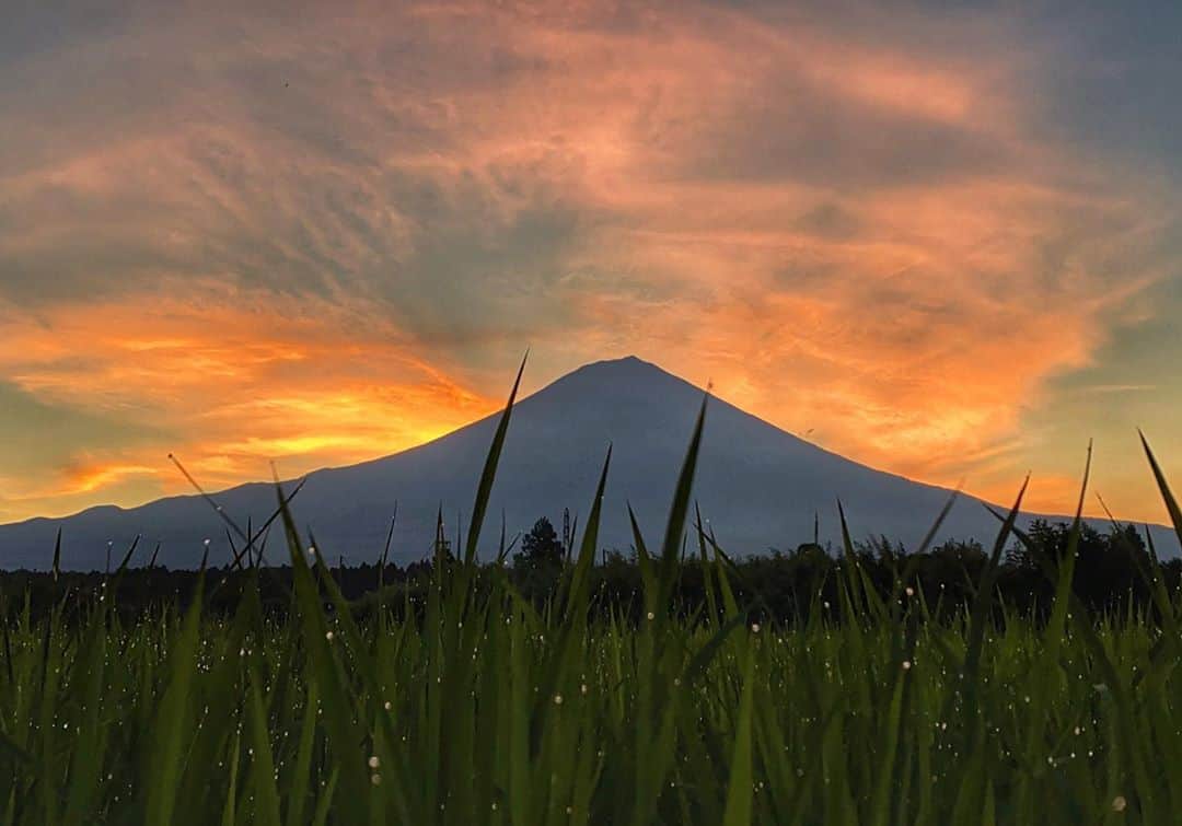 phantastic420のインスタグラム：「. 🤩🤩“Shizuoka” prefecture in Japan is a place where you can see the most “phantastic” Mt. Fuji🗻 in the world.🤩 #富士山 #mtfuji #japan #shizuoka #fujinomiya  #宮すた #miyasta @fujinomiyacity  #phantastic420photography #mostphantasticmtfuji #selamatpagi  #goodmorning  #おはようございます 😇😇😇😇😇😇😇🗻😇😇😇😇」