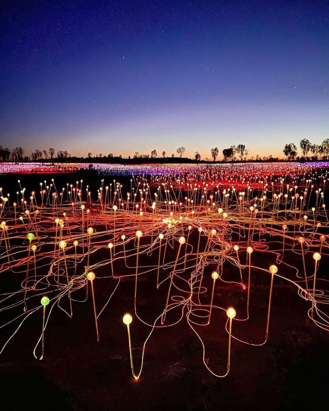 Australiaさんのインスタグラム写真 - (AustraliaInstagram)「Shine bright like a diamond 💎🎵 You’re looking at the spectacular #FieldOfLight captured by @travelcultureco in @ntaustralia's Uluru-Kata Tjuta National Park. As the sun goes down at @seeuluru, this outdoor exhibition, made up of more than 50,000 tiny lights takes centre stage in @visitcentralaus. One thing is for sure, this dazzling display will have you feeling the magic of the Australian outback in no time. #seeaustralia #northernterritory #fieldoflight」8月27日 5時00分 - australia