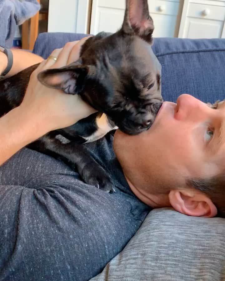 エミリー・スワローのインスタグラム：「Two years ago today I married the guy on the bottom.  Good thing I’m not the jealous type. You’re my favorite, @chadkimball76 (also, Happy #internationaldogday!) * * * #happyanniversary #twoyears #kisses #besos #heonlyhaseyesforme?」