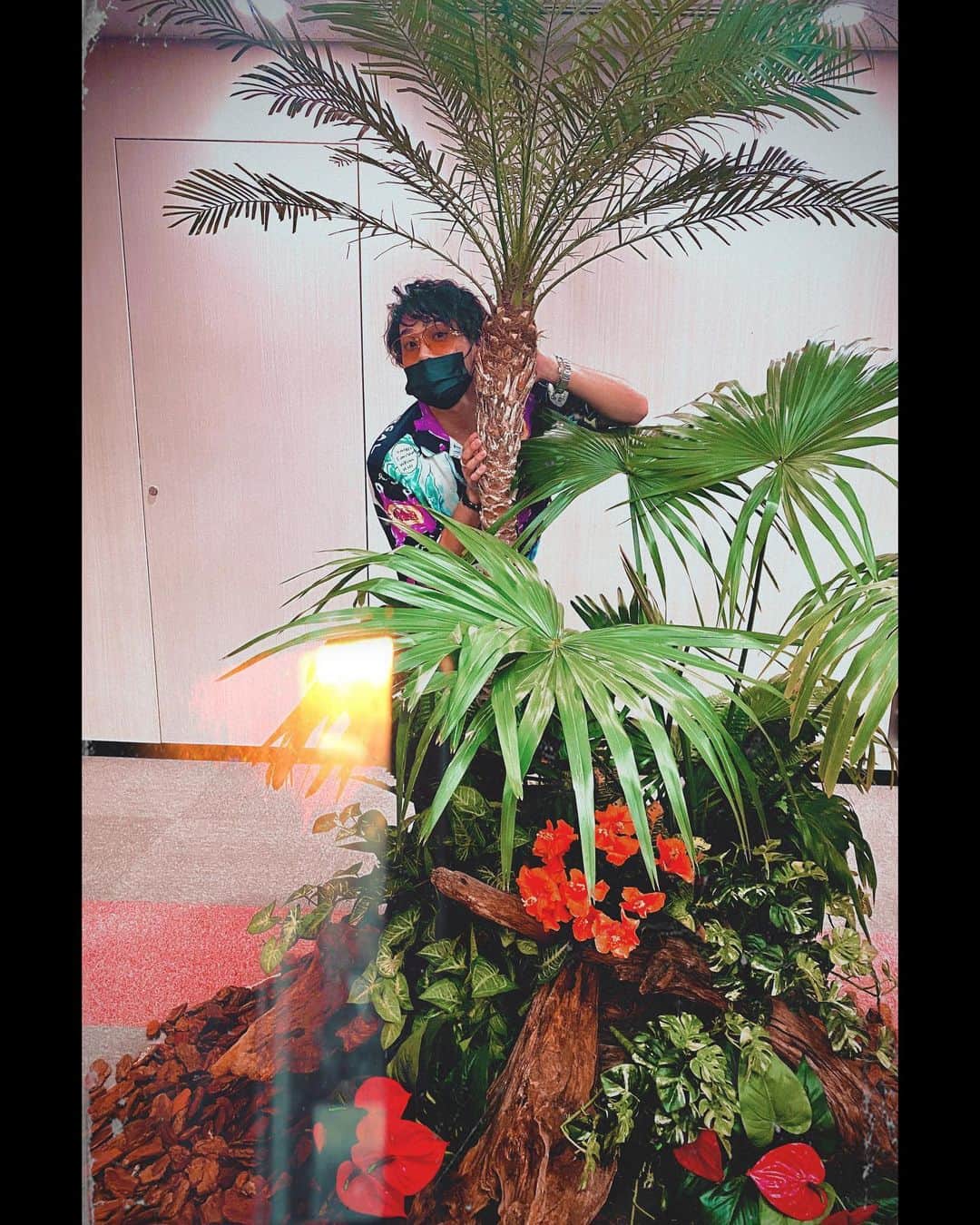 荒木駿平のインスタグラム：「. . FNS歌謡祭出演させていただきました❗️ めちゃくちゃ緊張しましたがもの凄い経験をさせてもらえました‼️ . ありがとうございました‼️‼️ . あとはa-nationのみ。 2020の夏は我慢しなきゃいけないことや辛い事も沢山あったけどa-nationがあったから楽しかった❗️と何年か先に言えるよう、しっかりと夏の締めくくり頑張ります‼️ . #ayumihamasaki  #fns歌謡祭  #dreamedadream  w/📸 @emiiseki @hikaru__ito」