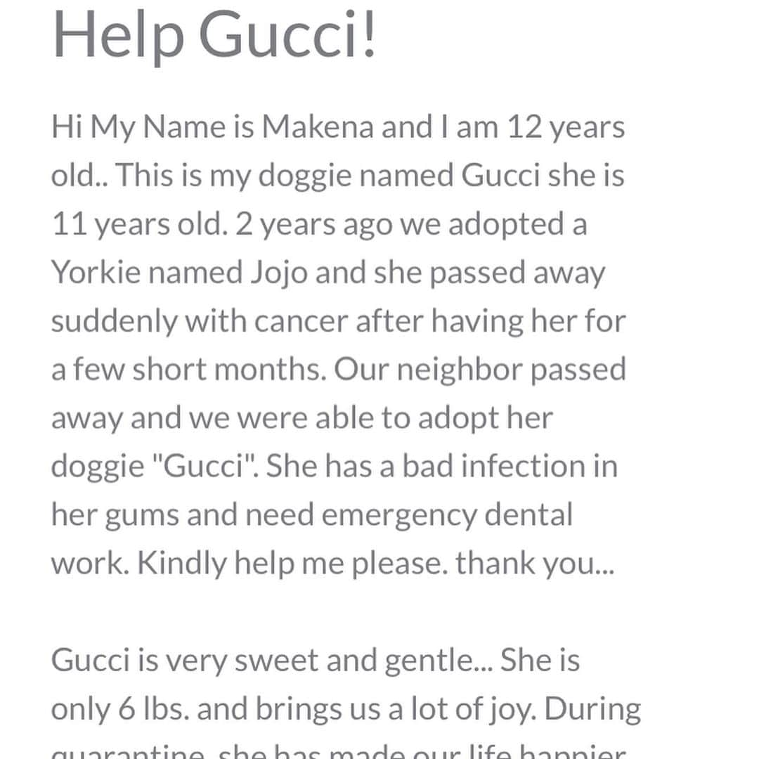 Marnie The Dogさんのインスタグラム写真 - (Marnie The DogInstagram)「For National Dog Day, I’d love to help out a little senior rescue dog in Gardena, CA who was brought to my attention from the nice people at waggle.org. When I read 12-year-old Makena’s story about Gucci it reminded me a lot of Marnie. This sweet pup was adopted as a senior (at age 9, currently 11) and just like Marnie, she needs some serious dental work done ASAP.   Makena’s story inspired me to start a fund in Marnie’s memory called Marnie’s Old Pals to help out dogs who were adopted as seniors. The fund is managed by The Waggle Foundation which oversees all campaigns and sends funds raised directly to the veterinary providers. It will cost $1,700 for Gucci to get this important dental surgery. If you are in a position, please consider donating to the Marnie’s Old Pals fund. I will put the link in bio and on our story, and here: https://wagglefoundation.org/donations/marnie-the-dog-gucci/  Makena, I hope this helps, and after Gucci is all healed I would love to meet you both (socially distanced) with my new senior dog Phyllis, and take a photo together. We are in Southern California too!」8月27日 5時23分 - marniethedog