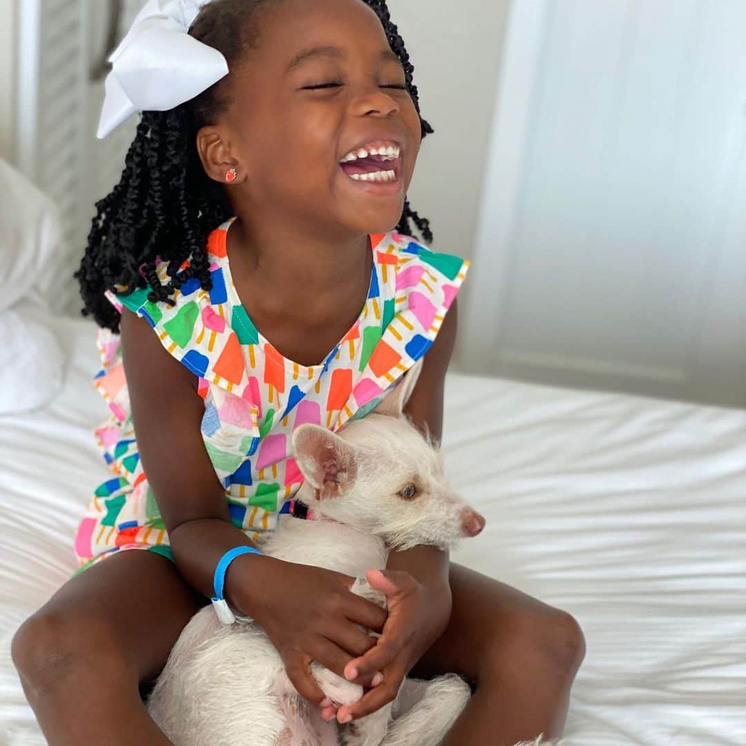 シャノーラ・ハンプトンのインスタグラム：「So I hear it’s #nationaldogday! The perfect day to show off our gift from the HEAVENS!! Lulu! #Pandemicpup #perfectpup #rescue @shelterhope_petshop」