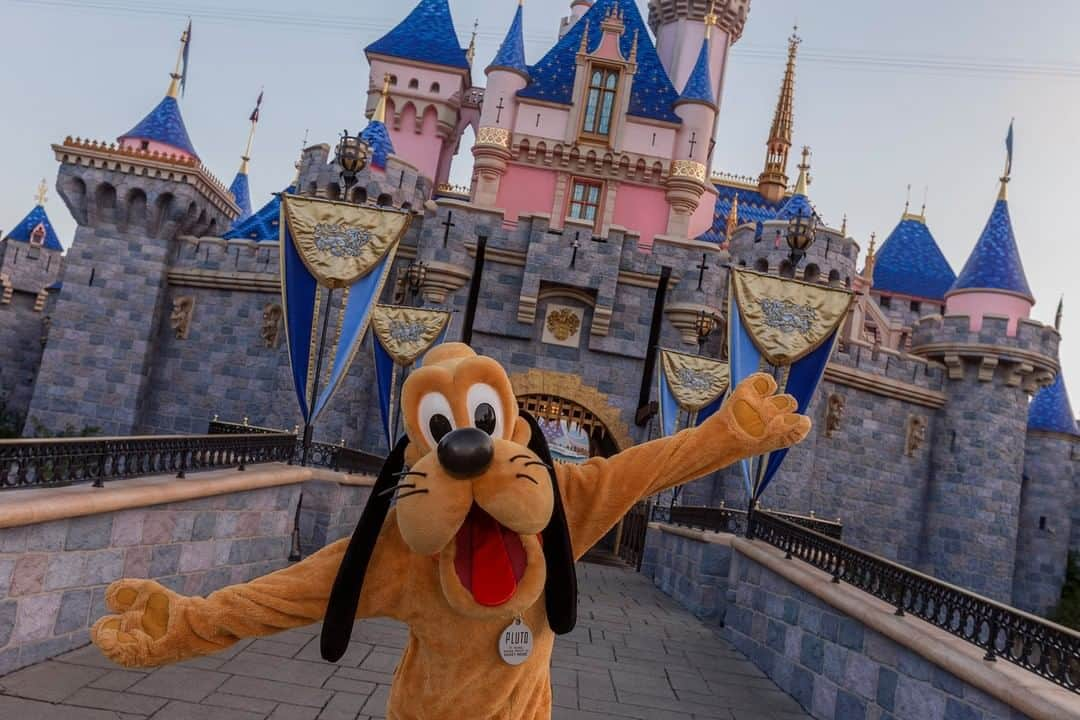 ディズニーランドさんのインスタグラム写真 - (ディズニーランドInstagram)「We've rounded up photos of Mickey's ulti-mutt pal Pluto visiting Disney destinations around the world! 🐶 Where have you spotted Pluto? Share your favorite photos with us now using #DisneyMagicMoments ✨! #NationalDogDay #InternationalDogDay」8月27日 6時33分 - disneyland