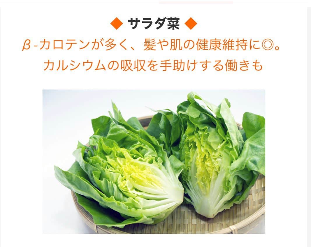 麻生れいみのインスタグラム：「【最強くすり野菜】サラダ菜に含まれるβ-カロテンは体内でビタミンＡに変換され、髪や粘膜、皮膚の健康維持、視力向上に役立ちます。喉や肺など呼吸器系統を守る働きや抗酸化作用による老化の防止も期待できます。さらにカルシウムの吸収を助けるビタミンKも含まれているので、サバ缶などに和えてサラダにすると効率よくカルシウムを摂取できますよ。ちなみにサラダ菜は、刃物で切ると酸化が進むので、手でちぎること。さっとゆでておひたしやあえ物にしたり、ミキサーでピューレ状にしてソースやドレッシングとして使うのもおすすめです🥬  詳しくは↓ リスミカ　麻生れいみで検索！  ❤️ロカボ、ケトジェニックダイエットは400g以上(1日食物繊維20g以上)を目指します。  #アスリート栄養　#スポーツ栄養 #アスリートご飯  #ボディメイク #ボディメイクレシピ  #ロカボダイエット  #管理栄養士  #麻生れいみ式ロカボダイエット  #lowcarbdiet  #lowcarb  #麻生式ダイエット #dietitian  #dietitians  #糖質制限  #ダイエット  #ケトン体 #ケトジェニック #ketodiet #ケトンアダプト #ketoaptation  #ketoadapted #麻生れいみ　 #コロナ太り  #コロナ太りが止まらない  #コロナ太り解消  #最強くすり野菜」