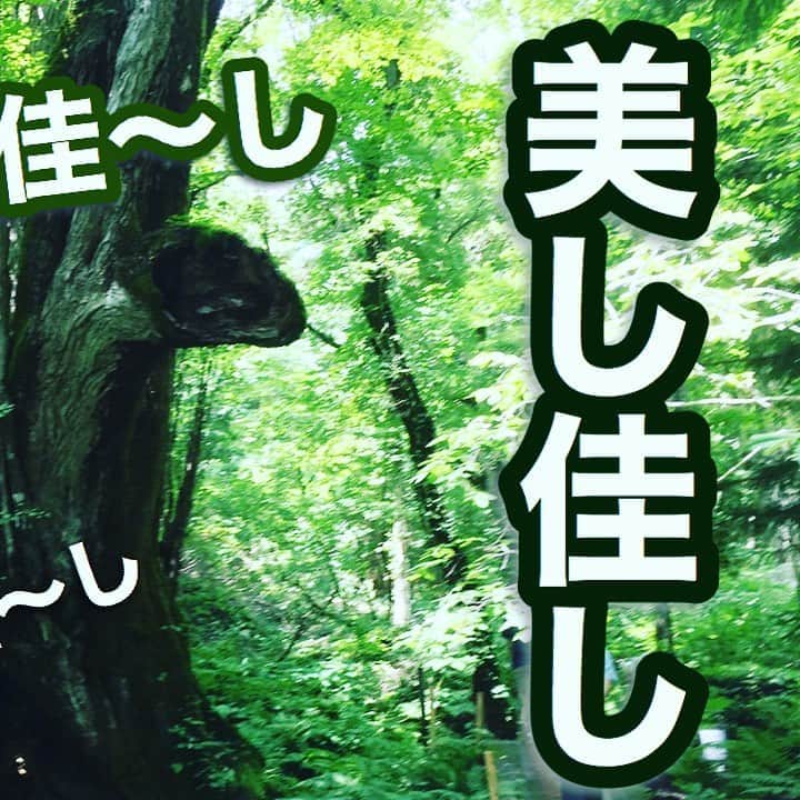 中野耕史のインスタグラム：「‪音を言葉にする日本語の「聴きなし」👂‬  ‪ツクツクボウシの鳴き声は最大級のラブソング❤️‬  ‪YouTube新作UPしました🎥‬  ‪心を伝える日本語 #31 美し佳し https://youtu.be/p7Vf_Kf-OQ8 @YouTubeより‬」